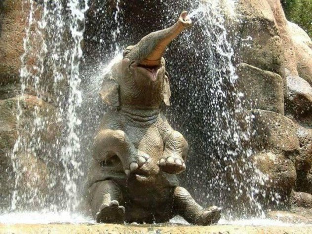 Улыбающийся, счастливый, довольный слон